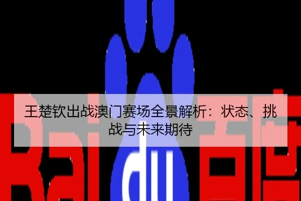 王楚钦出战澳门赛场全景解析：状态、挑战与未来期待