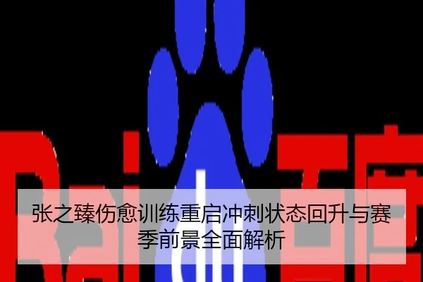 张之臻伤愈训练重启冲刺状态回升与赛季前景全面解析